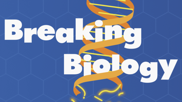 Screenshot 2025 06 15 at 6.20.09 pm